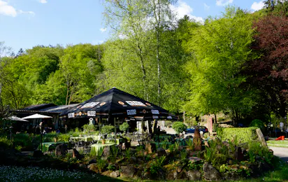 Odenwald-Camping-Park