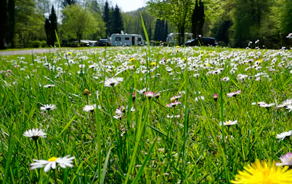 Odenwald-Camping-Park
