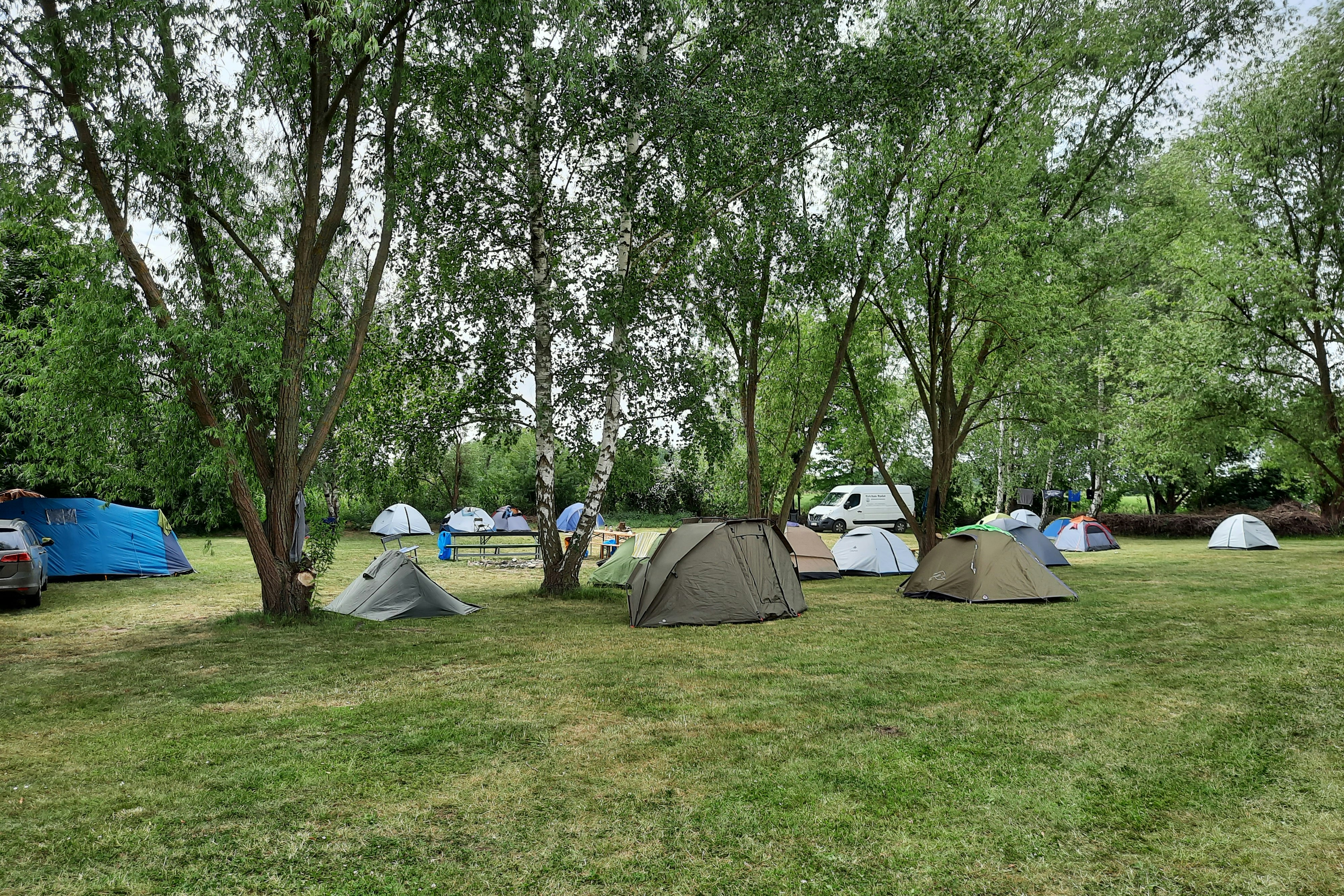 Oderbruch Camp Zechin  - Blick auf die Zeltwiese auf dem Campingplatz