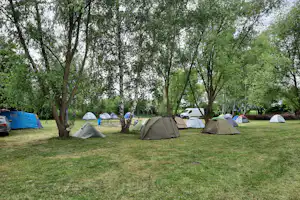 Oderbruch Camp Zechin - Blick auf die Zeltwiese auf dem Campingplatz