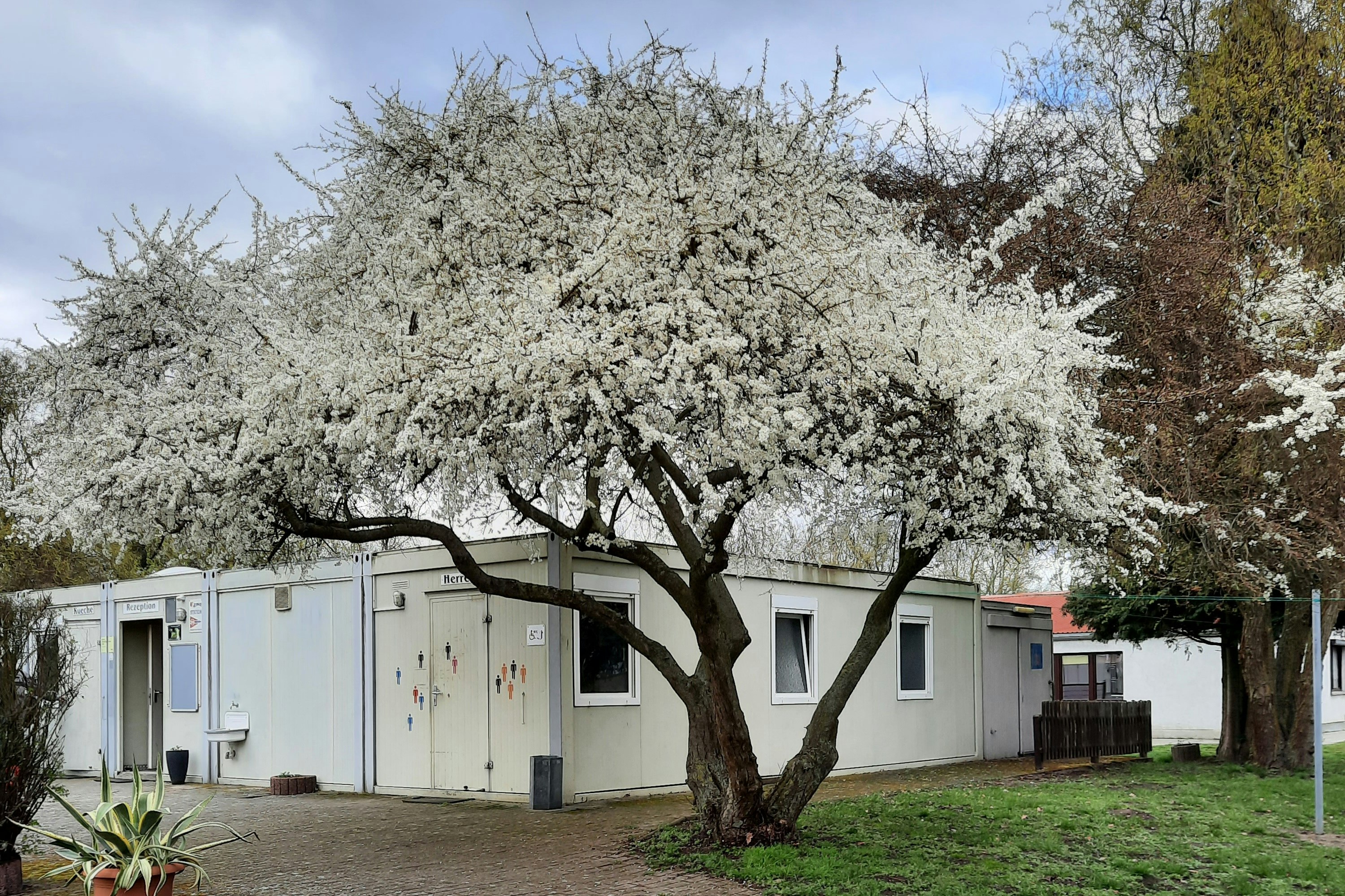 Oderbruch Camp Zechin
