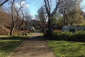 Campingplatzweg zwischen Bäumen, Wohnmobile und Autos am Stellplatz, Hecken und Rasenflächen im Hintergrund.