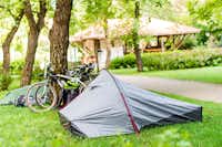 Öko-Park Camping - Zelt und Fahrräder unter Bäumen auf dem Campingplatz