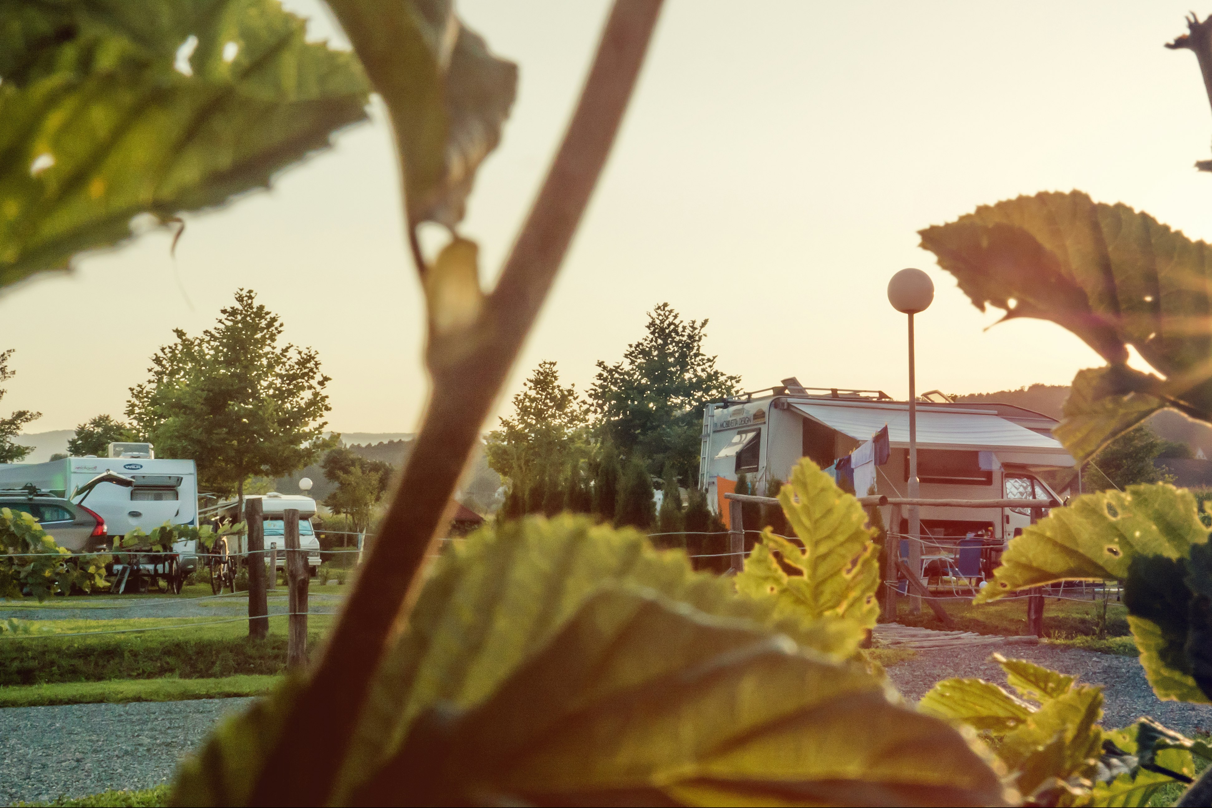 Ölspur-Camping - Blick auf den Wohnwagen- und Zeltstellplatz vom Campingplatz