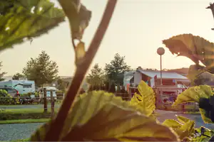 Ölspur-Camping - Blick auf den Wohnwagen- und Zeltstellplatz vom Campingplatz