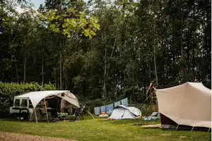 Campingzelte auf einer Wiese im Grünen, daneben Campingstühle und ein Wohnwagen am Waldrand.