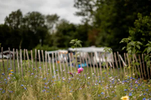 Oetdoor in de Achterhoek - Standplätze auf der Wiese auf dem Campingplatz