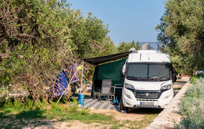 Olivia Green Camping
