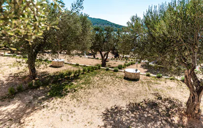 Olivia Green Camping