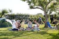 Olofsbo Camping - Familie beim Picknicken auf der Wiese