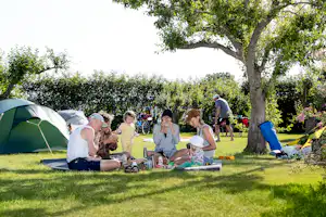 Olofsbo Camping - Familie beim Picknicken auf der Wiese