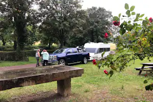 Blühende Rosen und grünes Gras vor einem Campingplatz: Pickup mit Wohnmobil steht am Stellplatz im Schatten der Bäume.