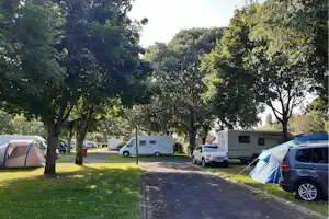 Stellplätze im Grünen mit Wohnwagen, Campingbus und Zelten zwischen Bäumen, gepflasterter Weg und Rasenfläche.