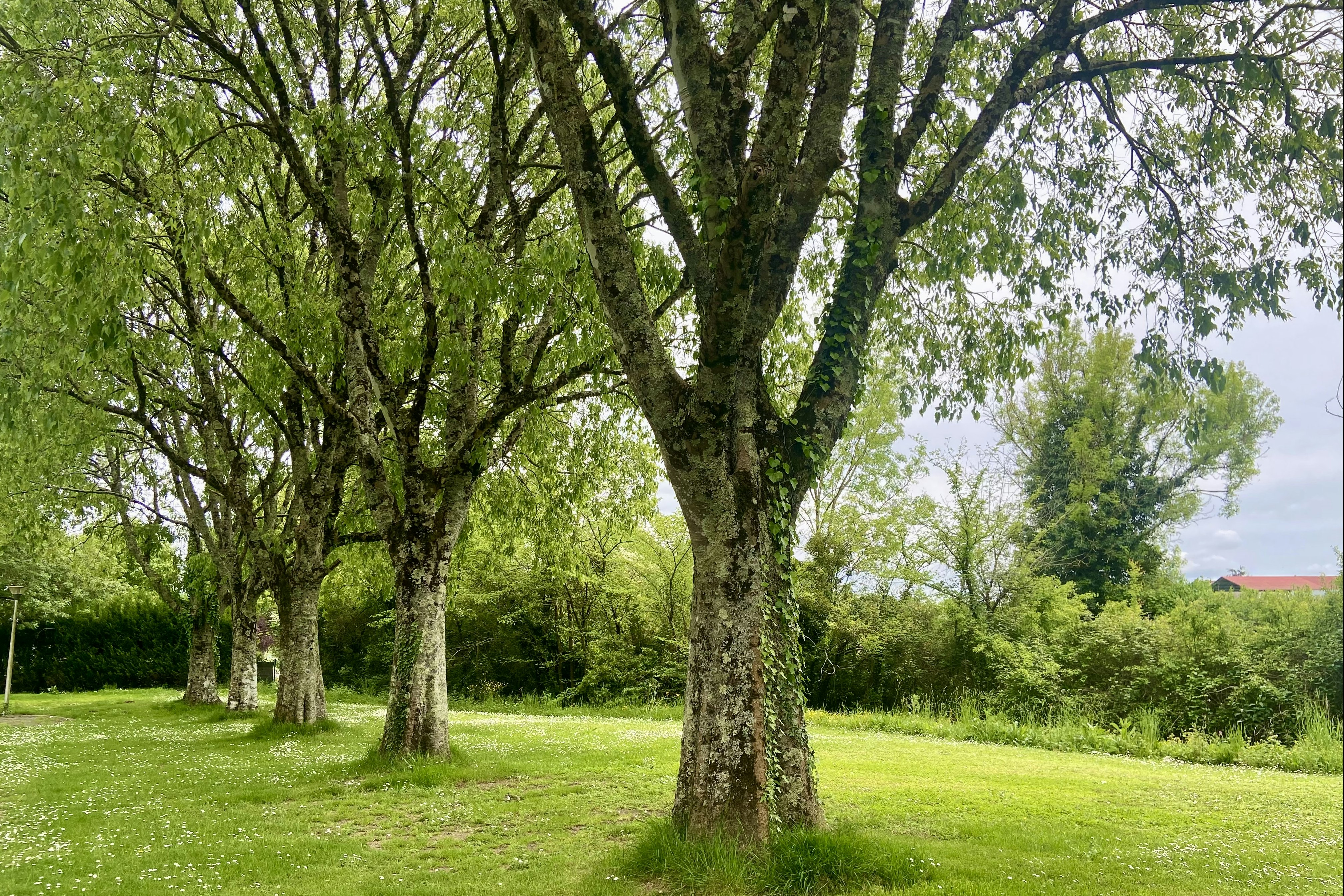 Onlycamp Camping le Paradis