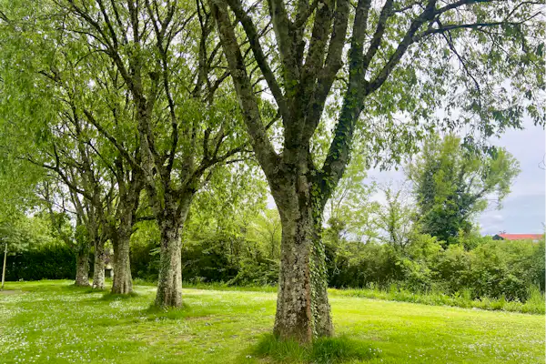 Onlycamp Camping le Paradis