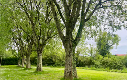 Onlycamp Camping le Paradis