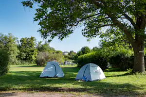 Zwei Campingzelte auf einer Wiese im Grünen, umgeben von Bäumen und mit Kiesweg im Vordergrund.