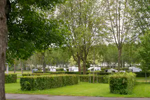 Campingplatz mit Wohnmobilen zwischen Hecken und Bäumen, Blick auf eine Allee mit Stellplätzen.
