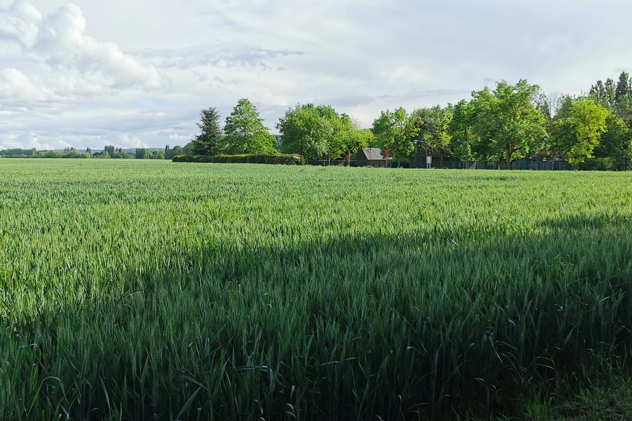 Onlycamp la Roseraie  OnlyCamp la Roseraie - Felder in der Umgebung des Campingplatzes