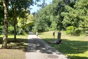 Waldweg im Campinggelände mit Bäumen, Rasenflächen und Laterne, eine Person geht am Pfad entlang.