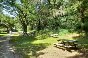 Campingwiese mit Bänken am Weg, große Bäume und Hecken im Hintergrund, Fahrräder und Zelte am Rand.