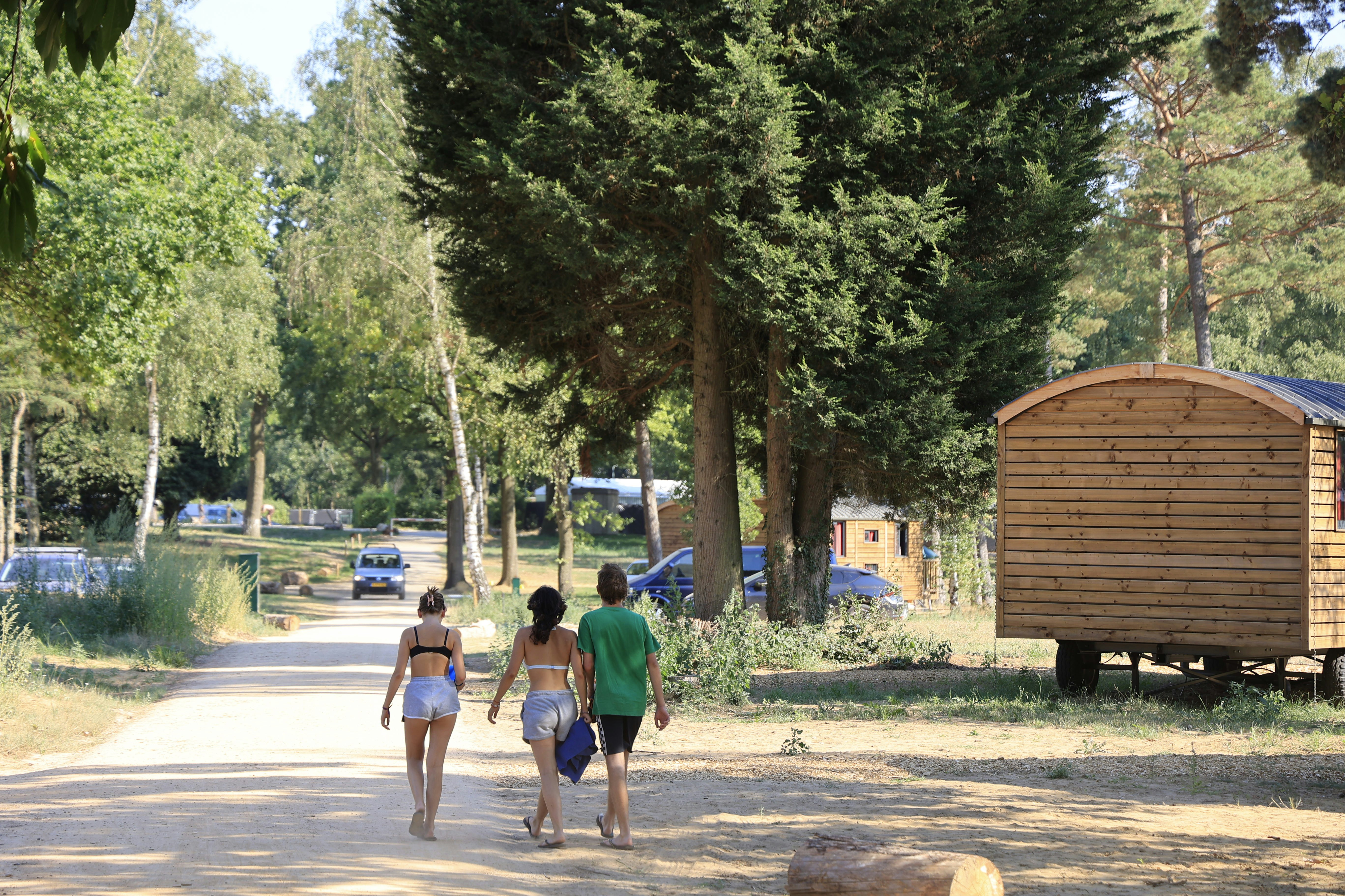 Huttopia De Meinweg - Blick auf den Campingplatz