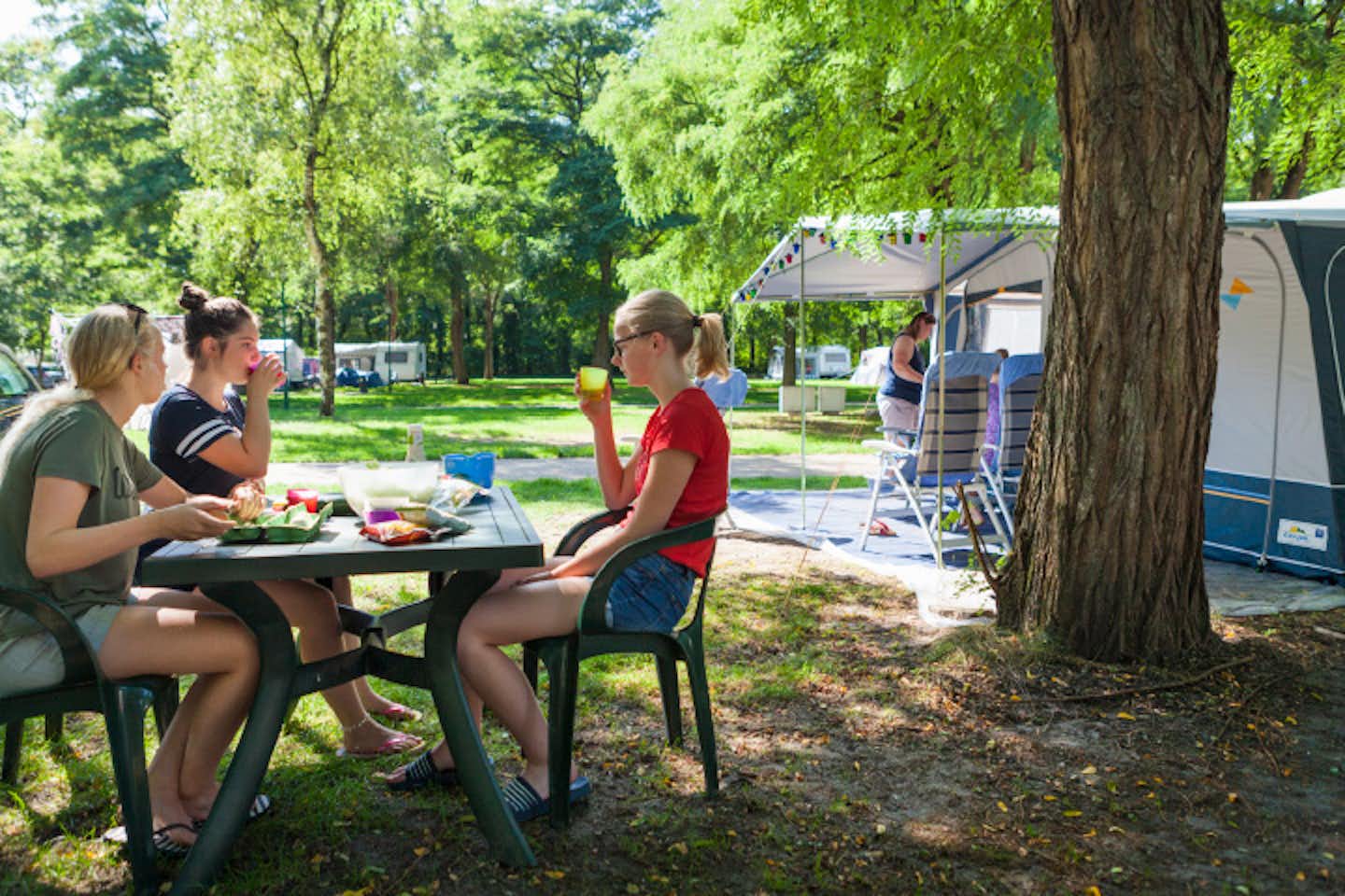 Oostappen Vakantiepark Hengelhoef -  Wohnwagenstellplätze im Grünen auf dem Campingplatz