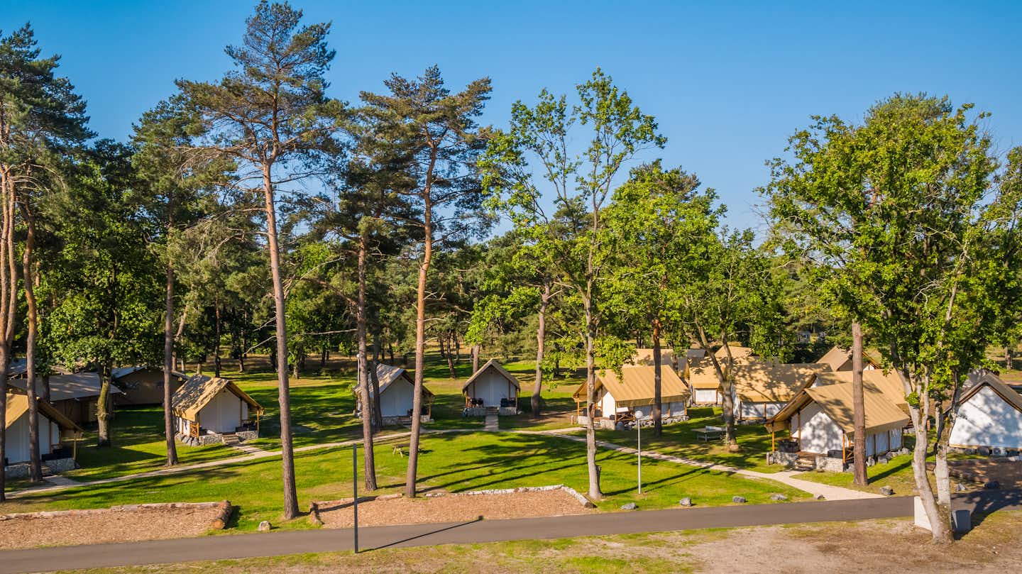 EuroParcs Zilverstrand - Blick auf die Mobilheime auf dem Campingplatz
