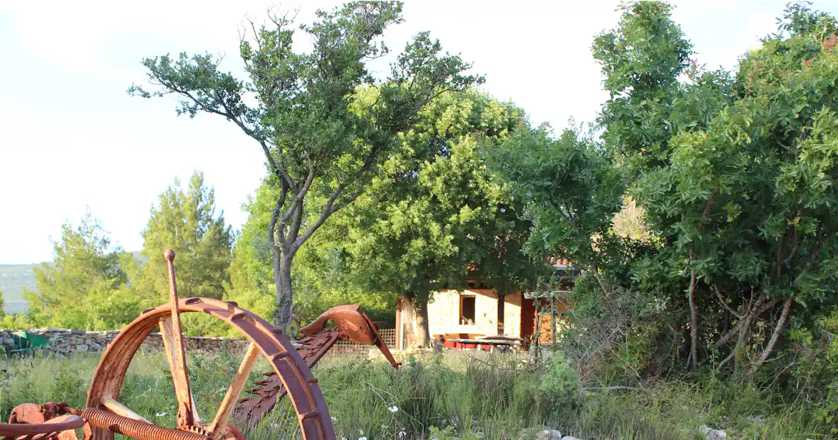 OPG WAY photo 5