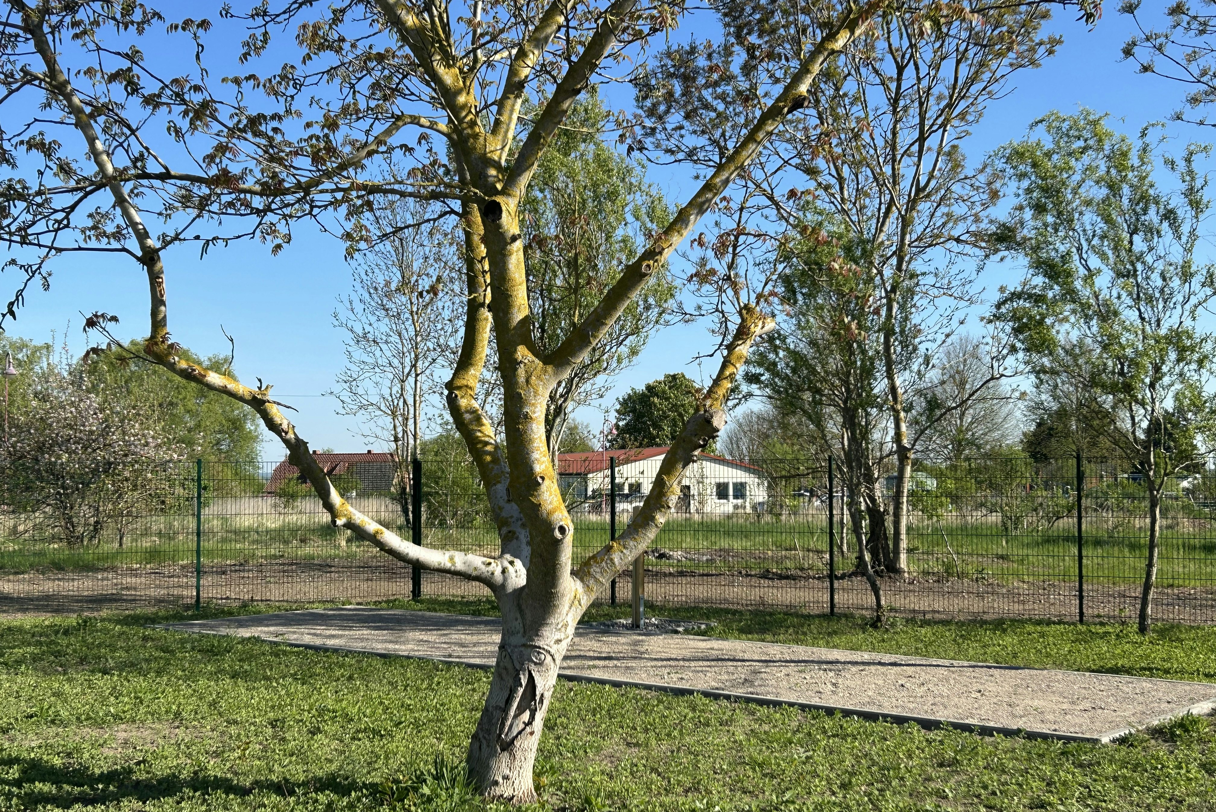 Op'n Dörp - Standplätze auf dem Campingplatz
