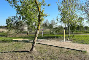 Baumreihe auf einem Campingplatz mit Wegen, Grasfläche und Zaun im Hintergrund.