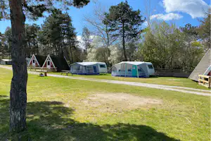 Orø Strandcamping ApS - Blick auf die Stellplätze auf dem Campingplatz