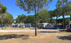Orbetello Camping Village - Wohnmobil- und Wohnwagenstellplätze auf dem Campingplatz