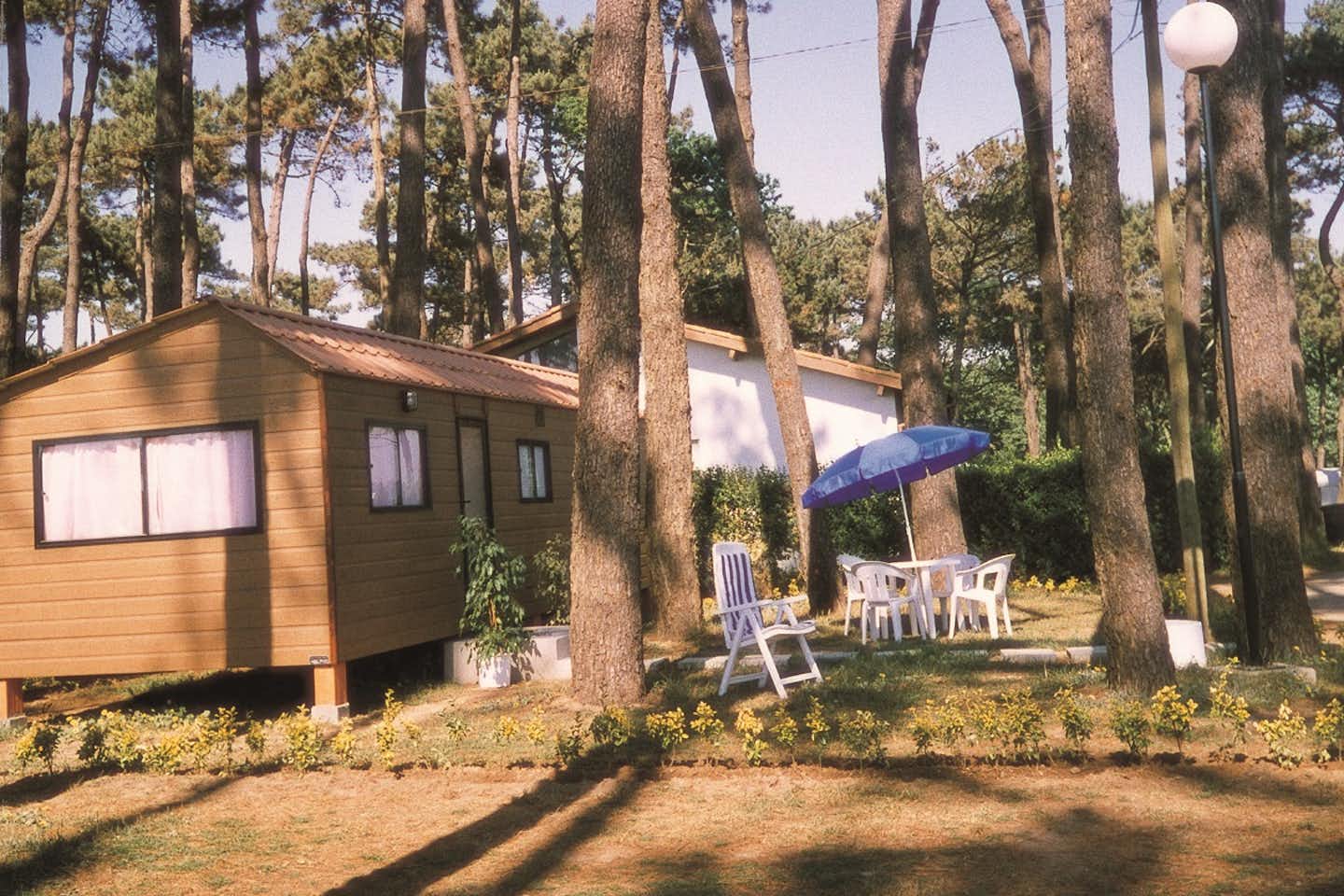 Camping ORBITUR Angeiras - Bungalow zwischen Bäumen mit Sitzgelegenheiten