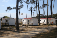 Camping ORBITUR Angeiras - Mobilheime mit teilweise überdachten Veranden zwischen Bäumen