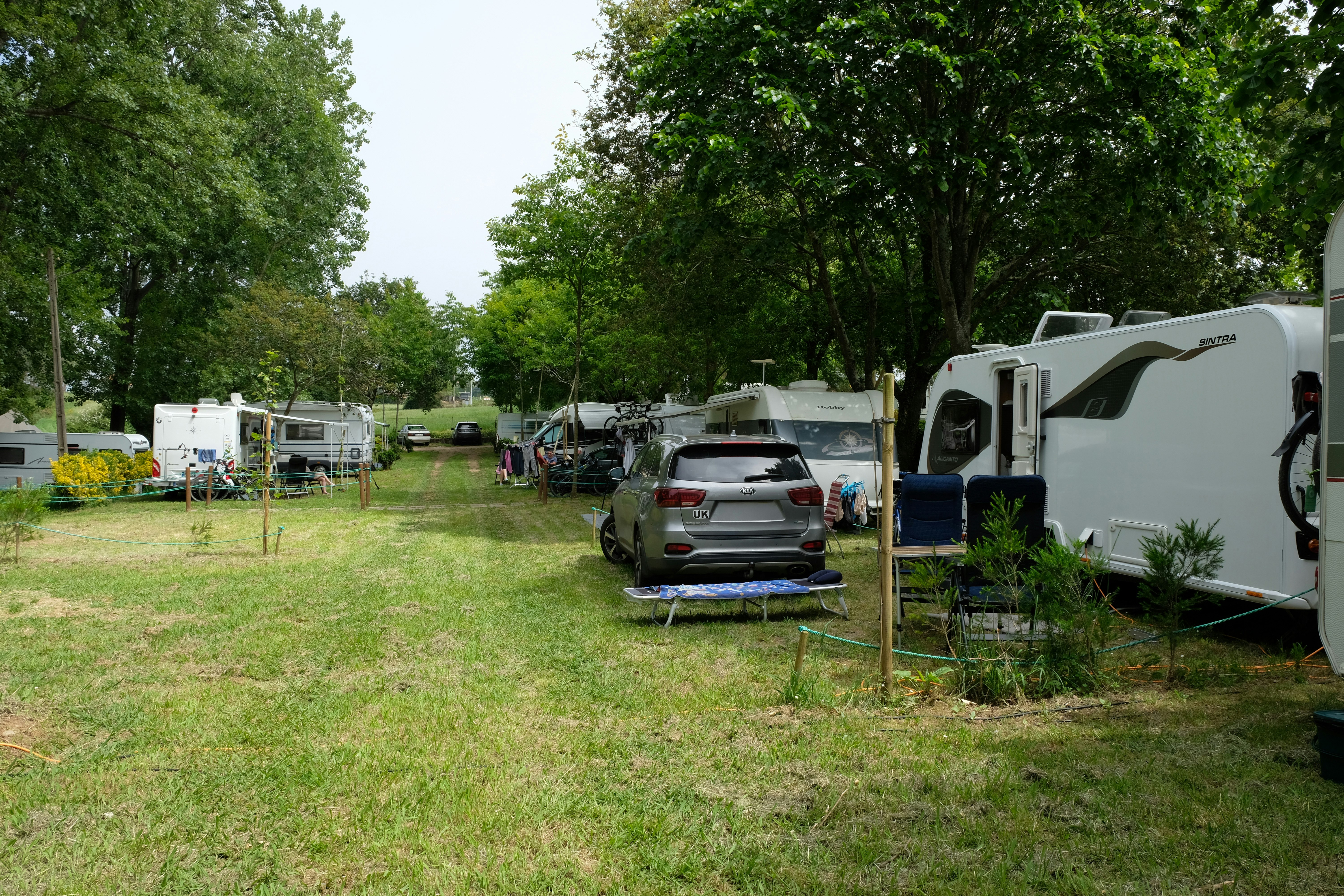 Camping ORBITUR Angeiras - Standplätze auf der Wiese auf dem Campingplatz