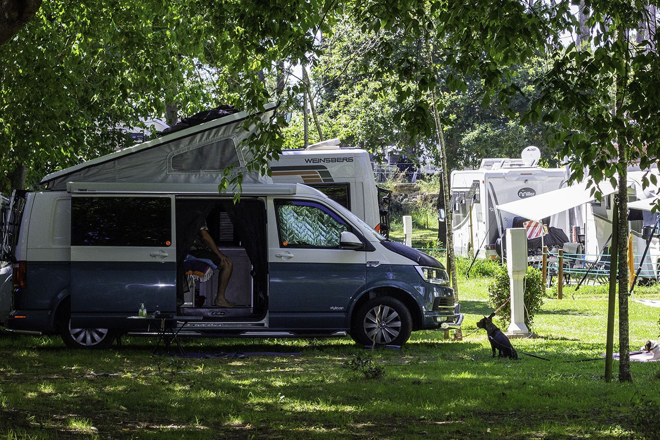 Camping ORBITUR Angeiras - Standplätze im Grünen auf dem Campingplatz