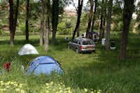 Camping ORBITUR Angeiras - Zelte zwischen Bäumen auf der Zeltwiese
