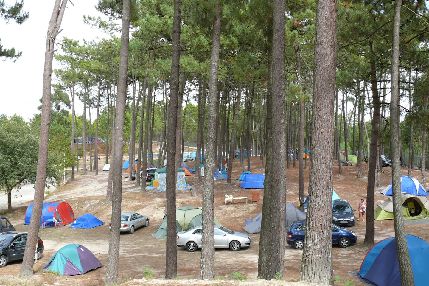 Camping ORBITUR Foz Do Arelho  -  Zeltstellplätze  zwischen Bäumen auf dem Campingplatz