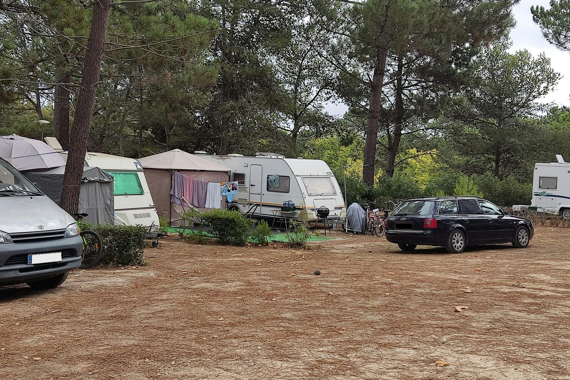 Camping ORBITUR Foz Do Arelho - Standplätze auf dem Campingplatz