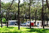 Camping ORBITUR Gala - Wohnwagen auf dem Stellplatz zwischen Bäumen