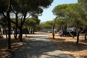 Camping ORBITUR Guincho - Wohnwagen- und Zeltstellplatz zwischen Bäumen auf dem Campingplatz