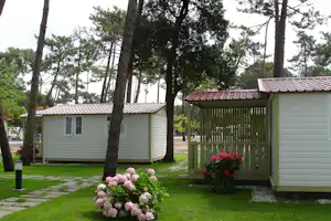 Camping ORBITUR Mira - Mobilheime zwischen Bäumen auf dem Campingplatz