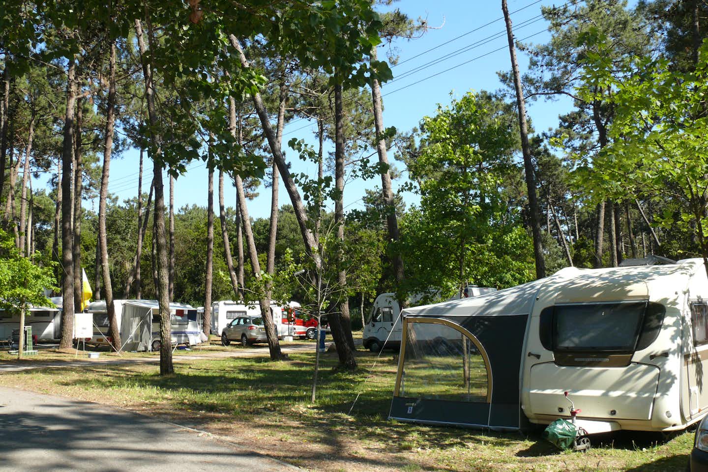 Camping ORBITUR Mira  -  Wohnwagen- und Zeltstellplatz zwischen Bäumen auf dem Campingplatz