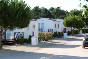 Camping ORBITUR Sagres - Mobilheime zwischen Bäumen auf dem Campingplatz