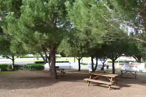 Camping ORBITUR Sagres - Zeltstellplätze unter Bäumen auf dem Campingplatz