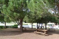 Camping ORBITUR Sagres  -  Zeltstellplätze unter Bäumen auf dem Campingplatz