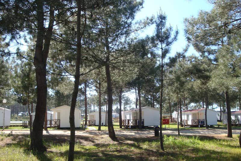 Camping ORBITUR Sitava Milfontes - Mobilheime mit Veranden zwischen Bäumen