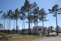 Camping ORBITUR Sitava Milfontes - Wohnmobile auf Stellplätzen unter Bäumen