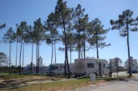 Camping ORBITUR Sitava Milfontes - Wohnmobile auf Stellplätzen unter Bäumen